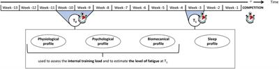Effect of the pre-taper level of fatigue on the taper-induced changes in performance in elite swimmers